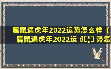 属鼠遇虎年2022运势怎么样（属鼠遇虎年2022运 🦆 势怎么样女）